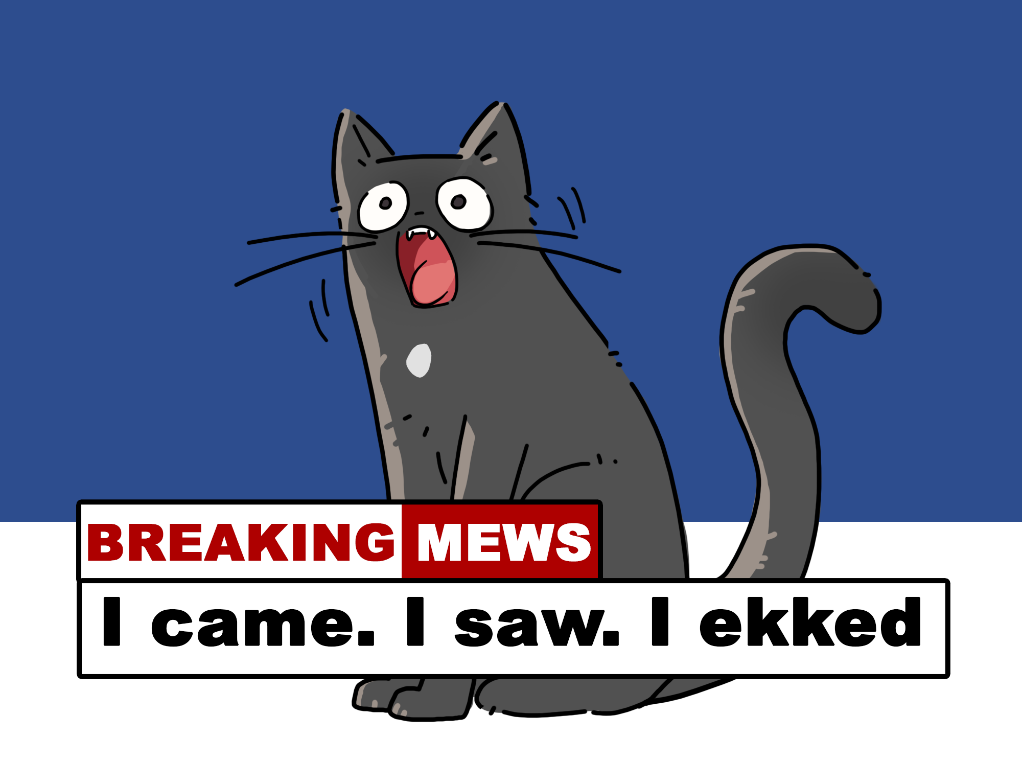 A cartoon of a black cat with a white spot on its chest, ekking loudly. At the bottom is the text 'Breaking News: I came, I saw, I ekked.'