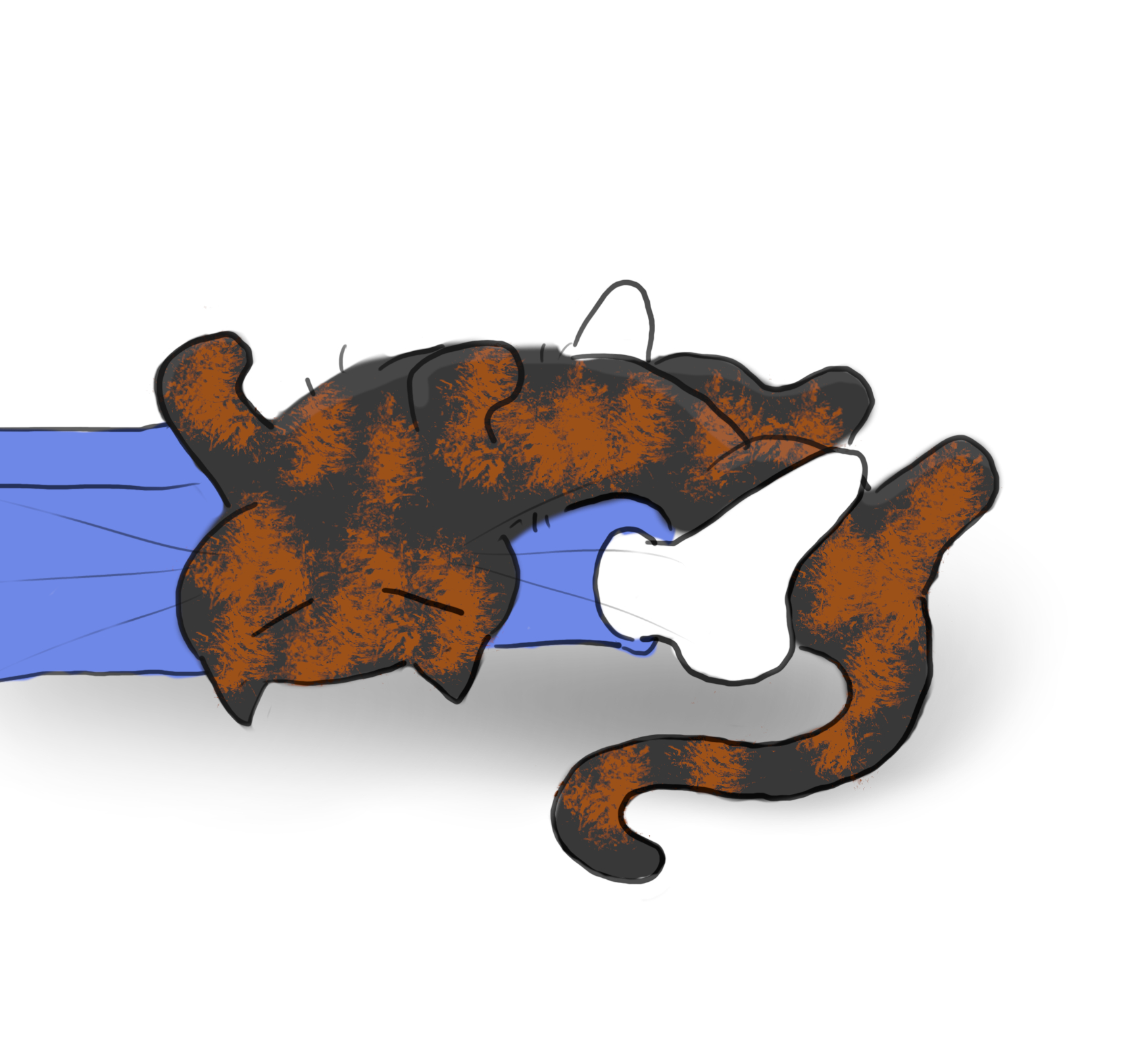 A cartoon of a tortoiseshell cat lying on her back across a person's ankles.