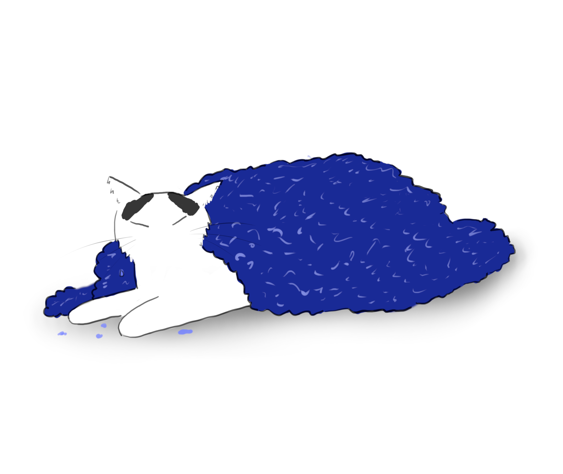 A cartoon of a wet white cat with black markings under its ears, drying out under a big blue blanket.