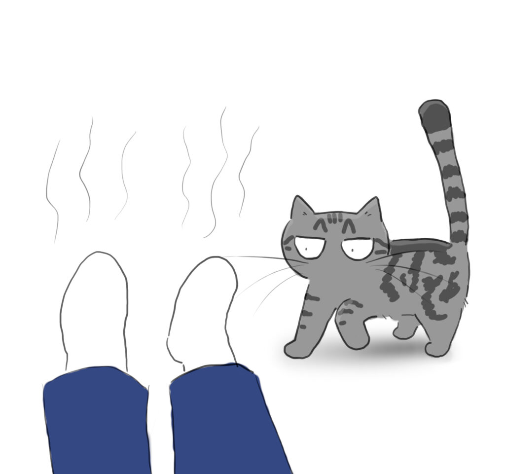 A cartoon of a silver tabby cat looking grumpy next to a person's stinky feet.