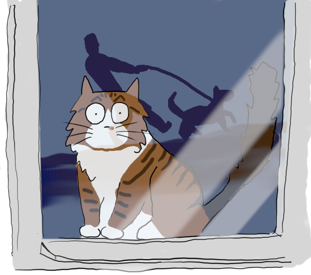 A cartoon of a tabby and white cat looking out through a window at a person walking a dog.