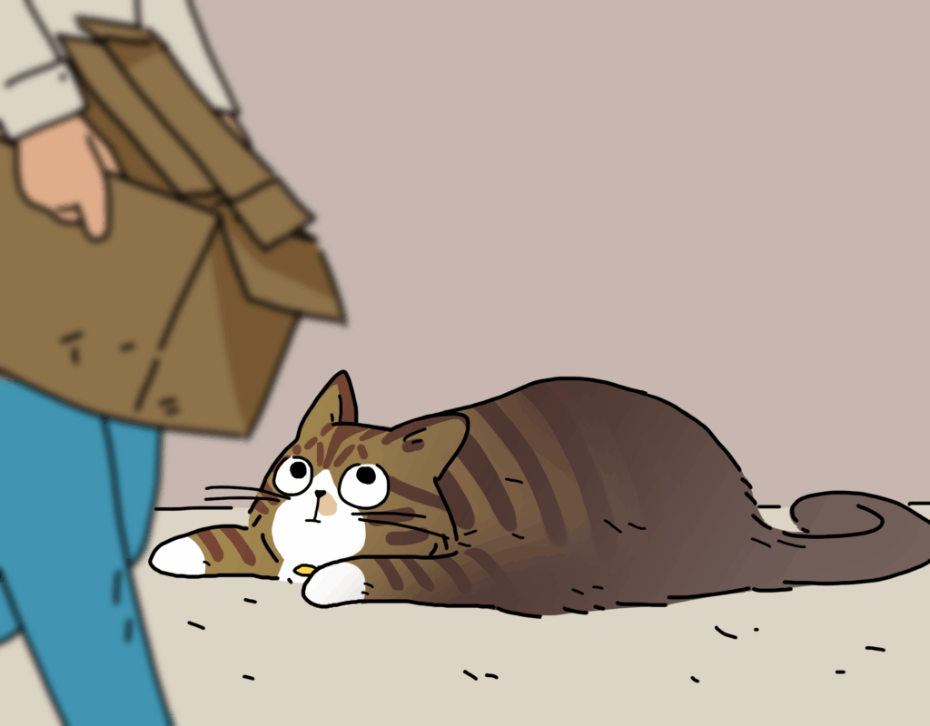 A cartoon of a tabby and white cat looking sad as someone walks by with his cardboard box.