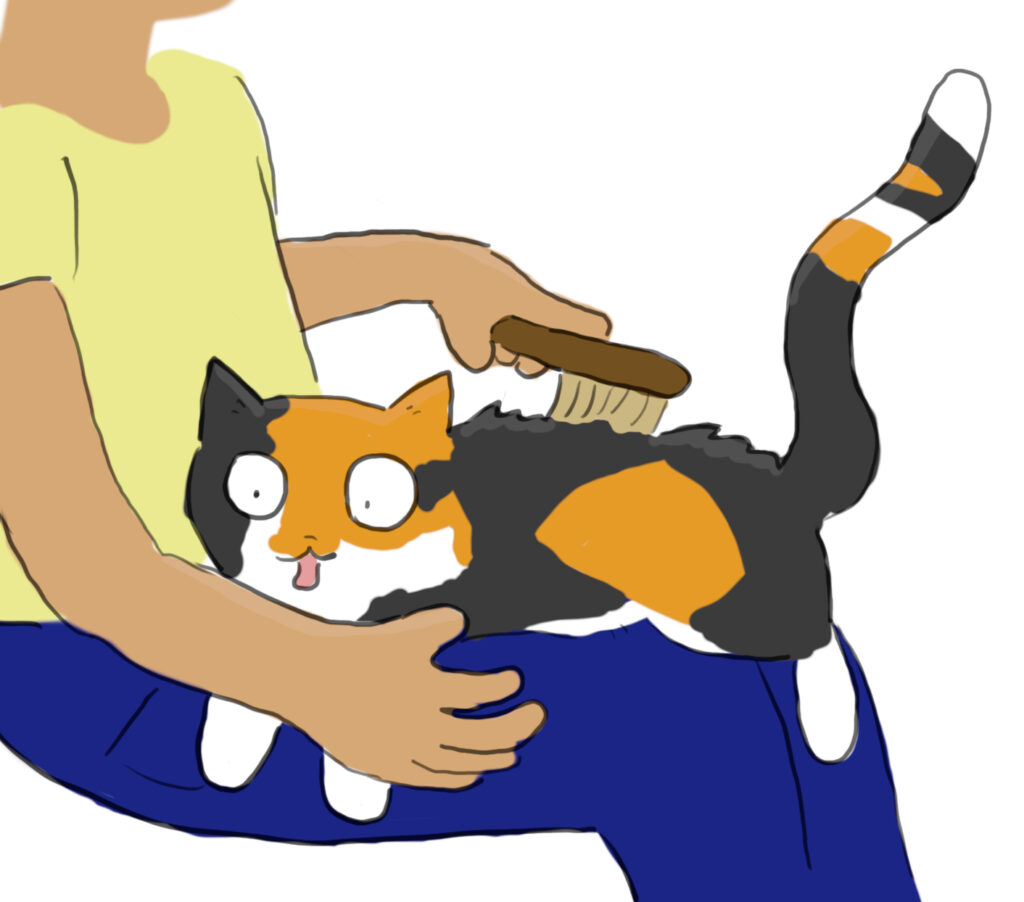 Tess A cartoon of a tricolour cat licking the arm of a person who is brushing them.