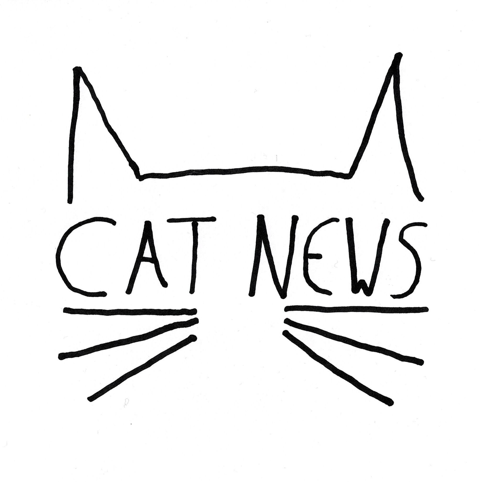 The Cat News logo
