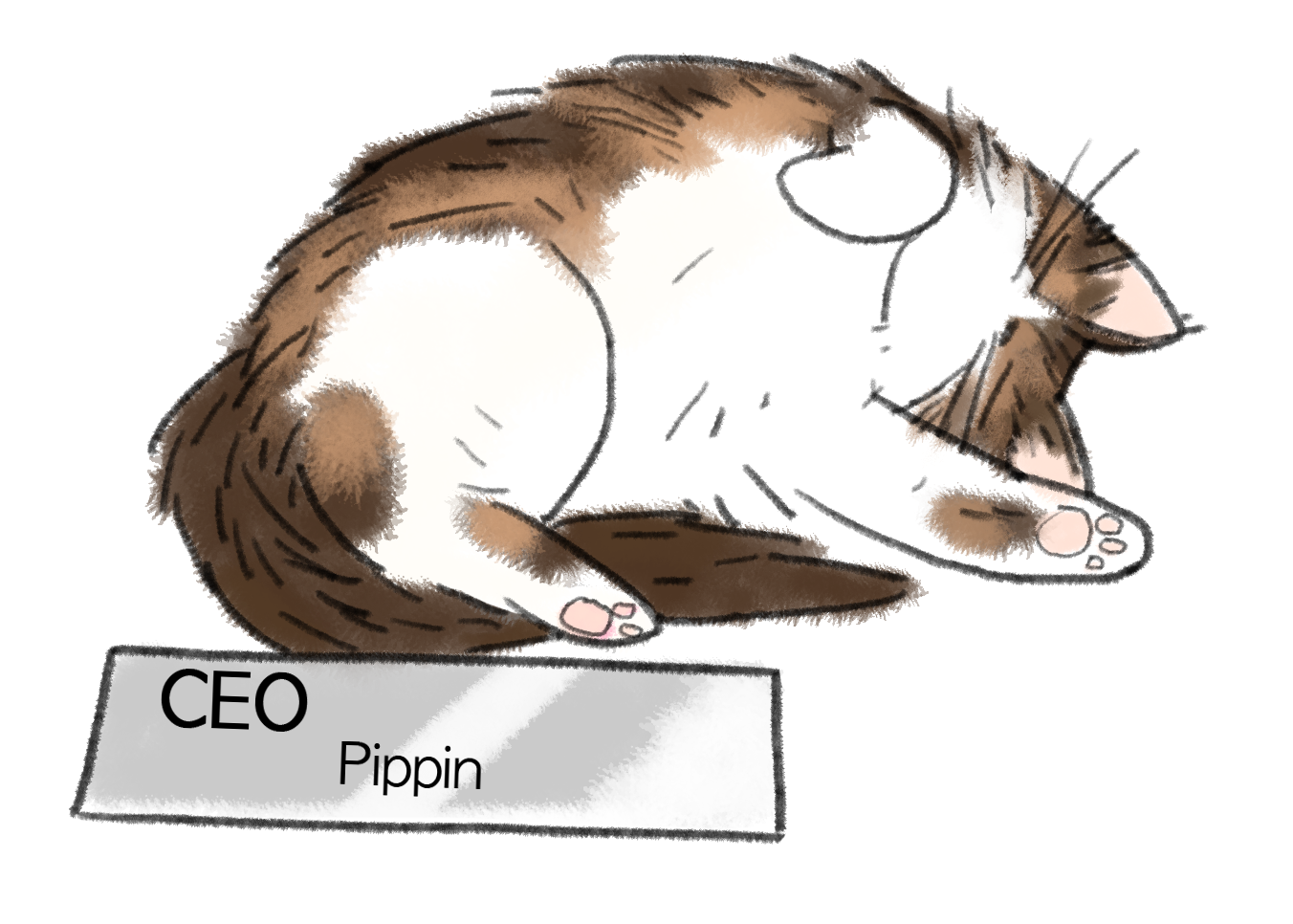 A cartoon of a tabby and white Maine Coon cat sleeping happily next to a desk name plaque, which reads 'CEO Pippin'.