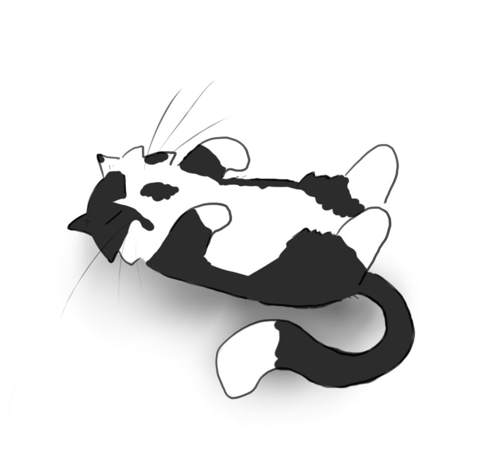 A cartoon of a black and white cat lying on its back with its legs in the air asleep.