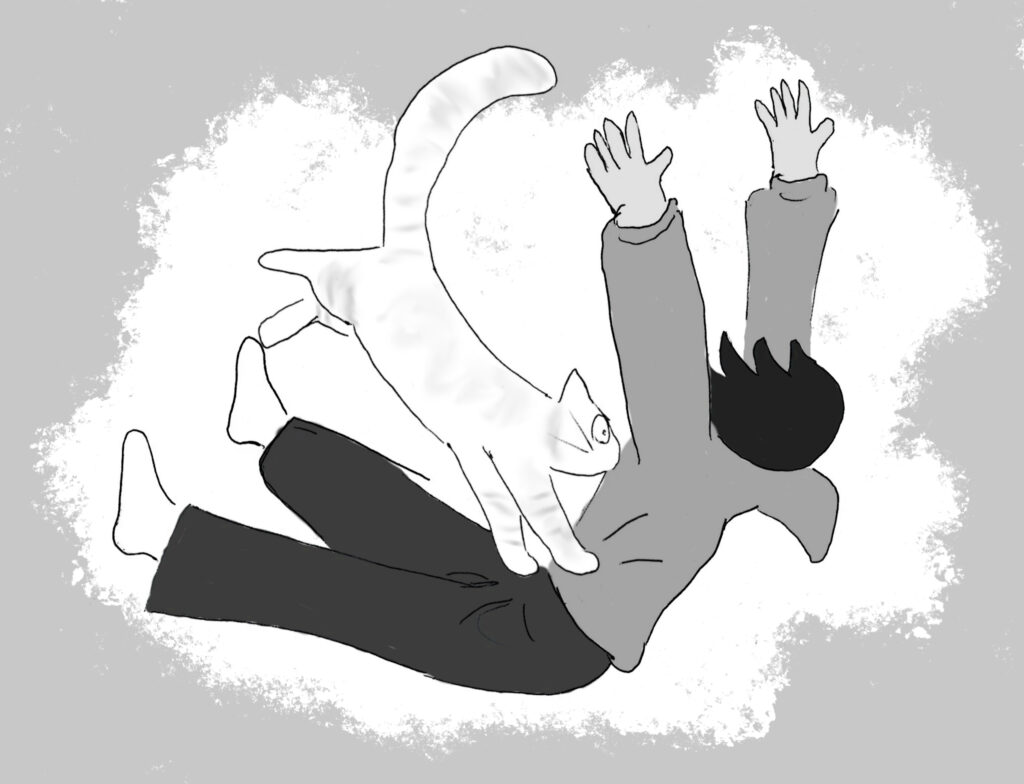 A cartoon of a white stripy cat leaping onto a person's stomach, dramatically.