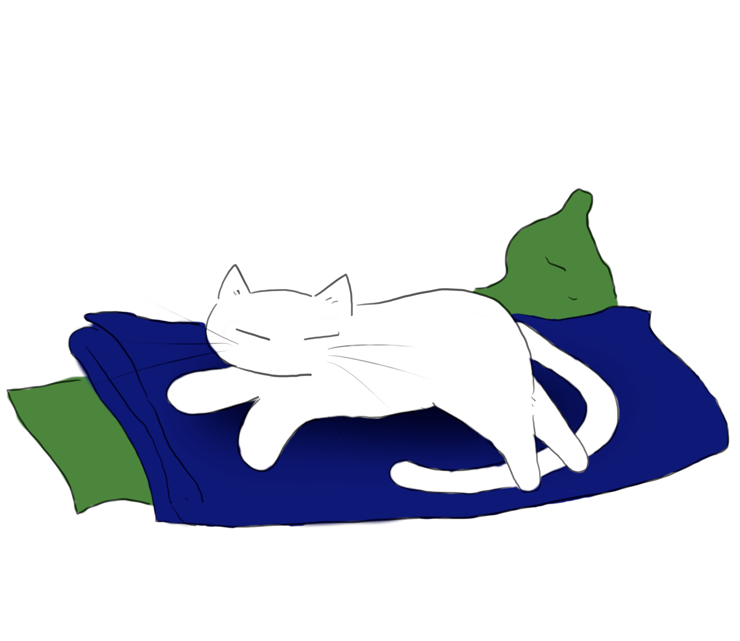 Blanket Claims