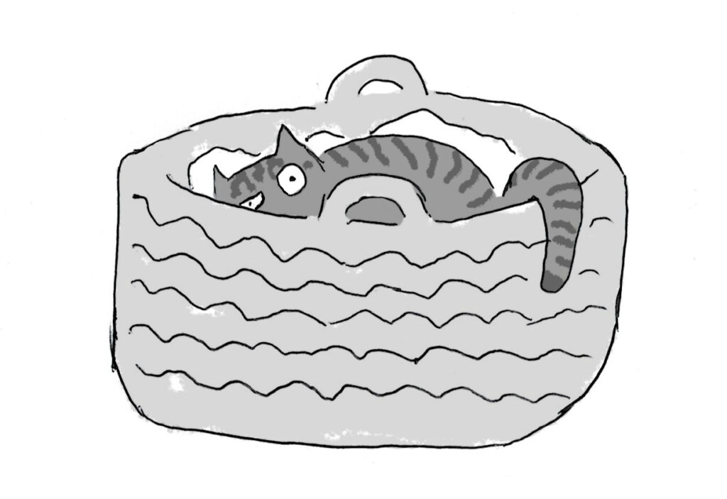 magic_shaded A cartoon of a tabby cat warily trying to sleep in a wicker laundry basket.