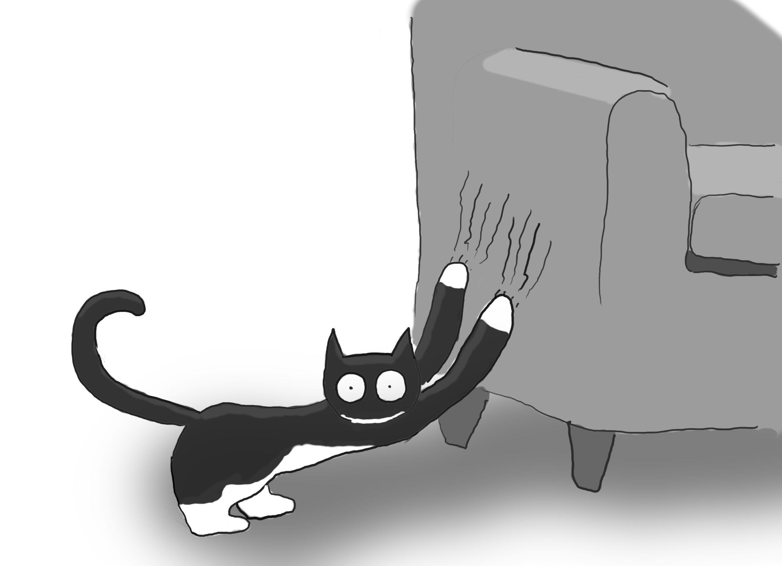 Training your human