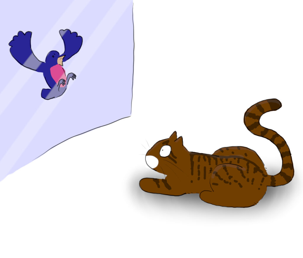 A cartoon of a tabby cat staring through a window at an angry robin.