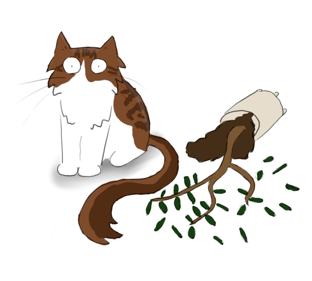 A cartoon of a tabby and white Maine Coon cat sitting next to a knocked over olive tree in a plant pot.