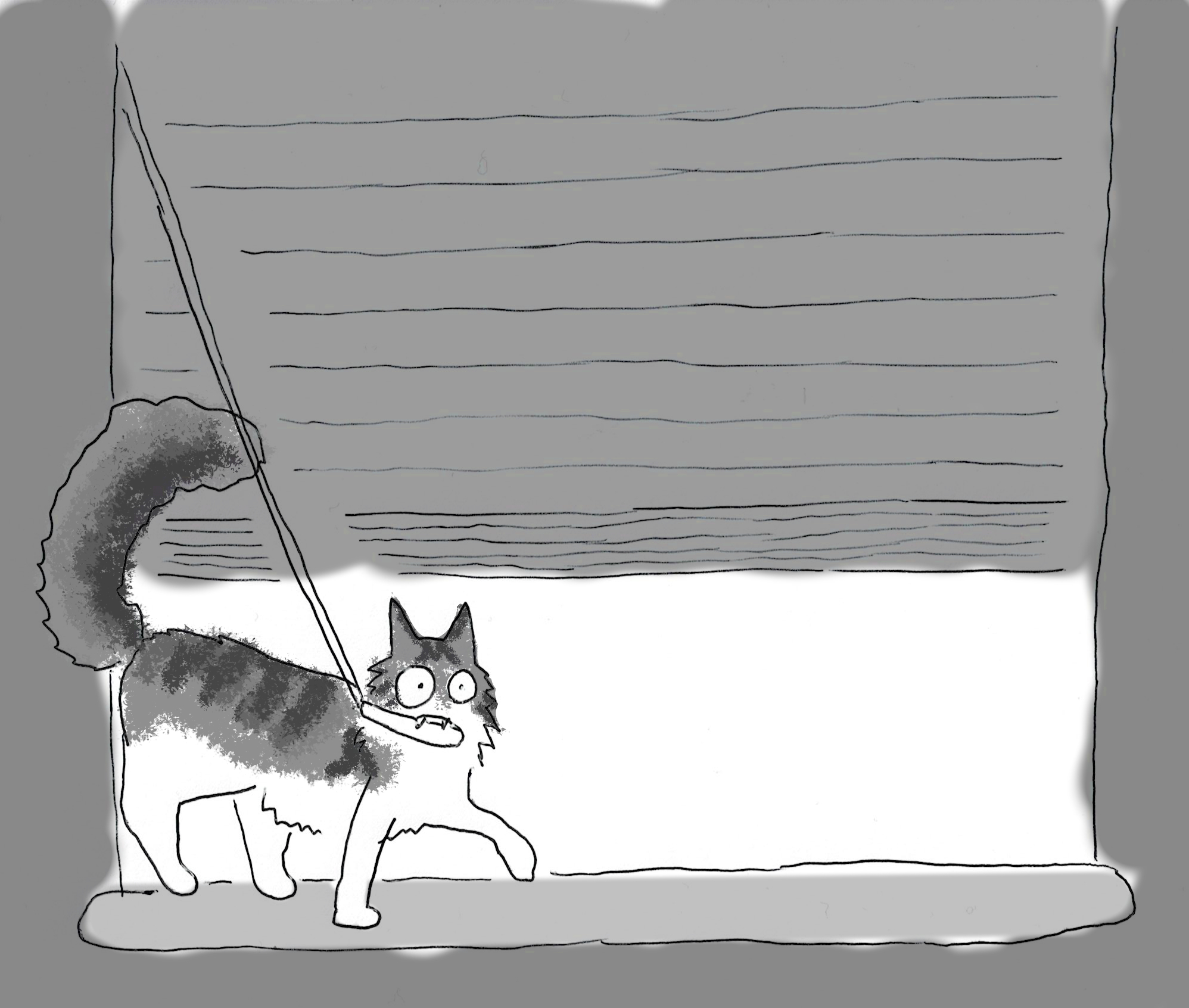 A cartoon of a white and tabby cat pulling on a drawstring to open the blinds of window.