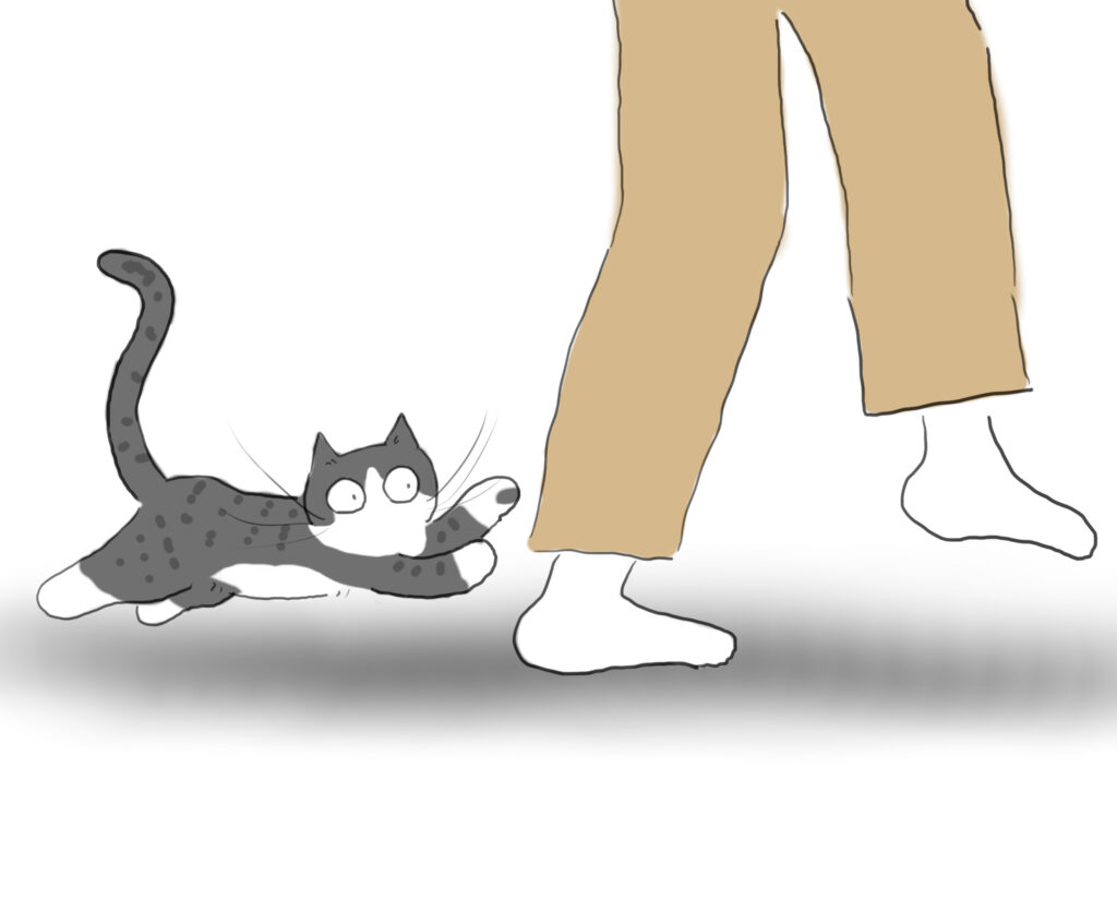 A cartoon of a grey and white cat racing a person who is walking by wearing beige trousers.