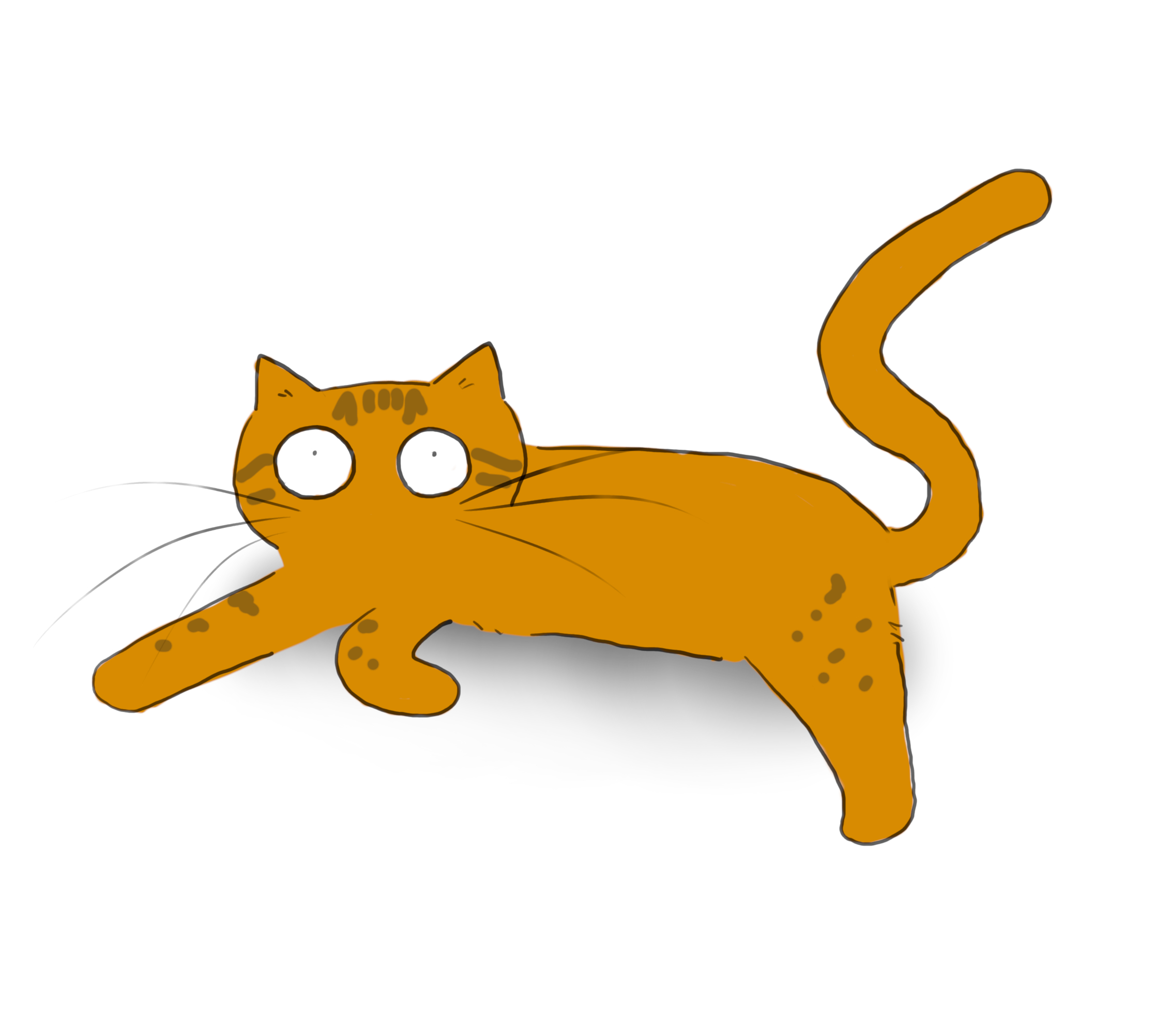 Feline Philosophy