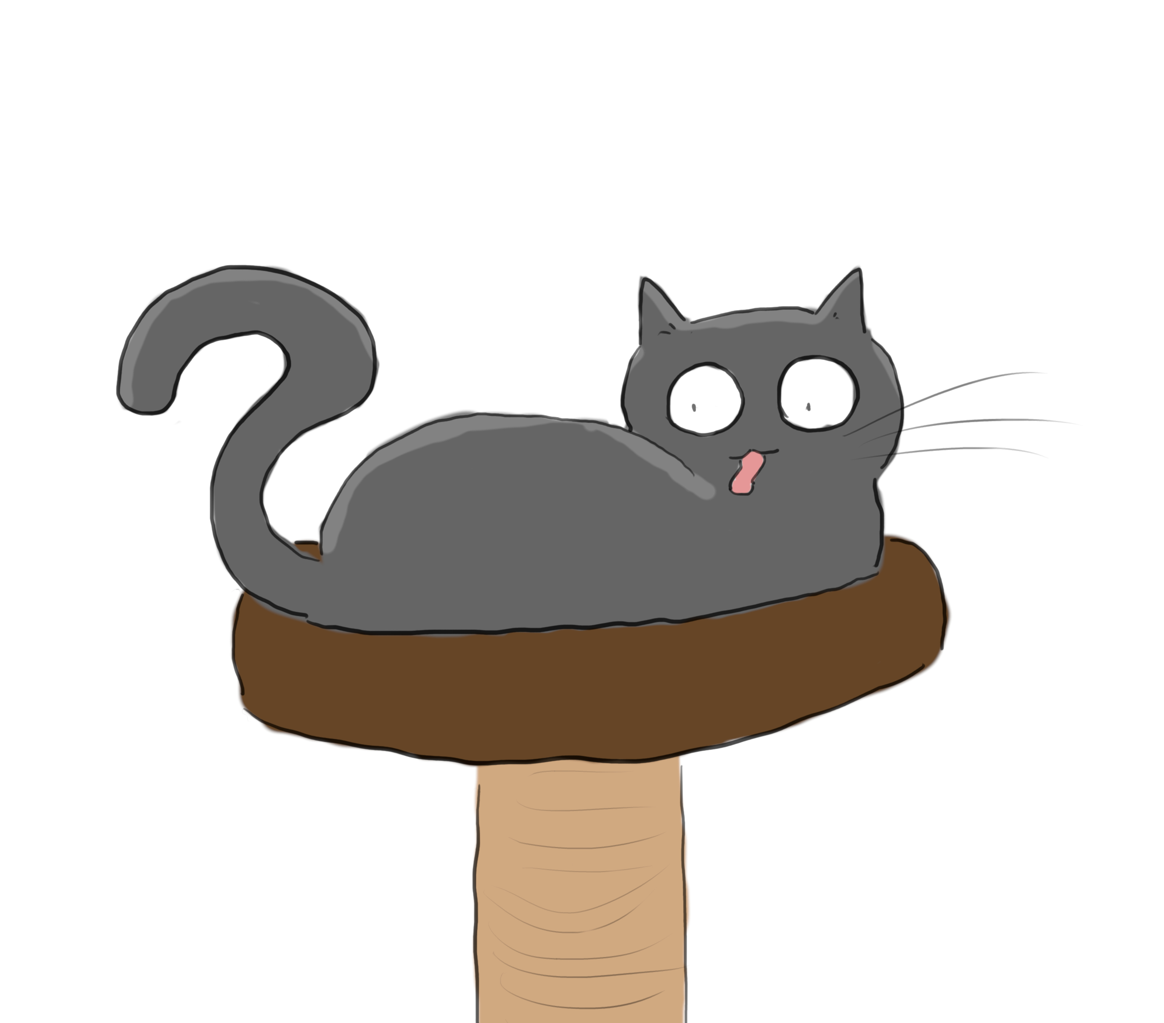 A Place To Purr
