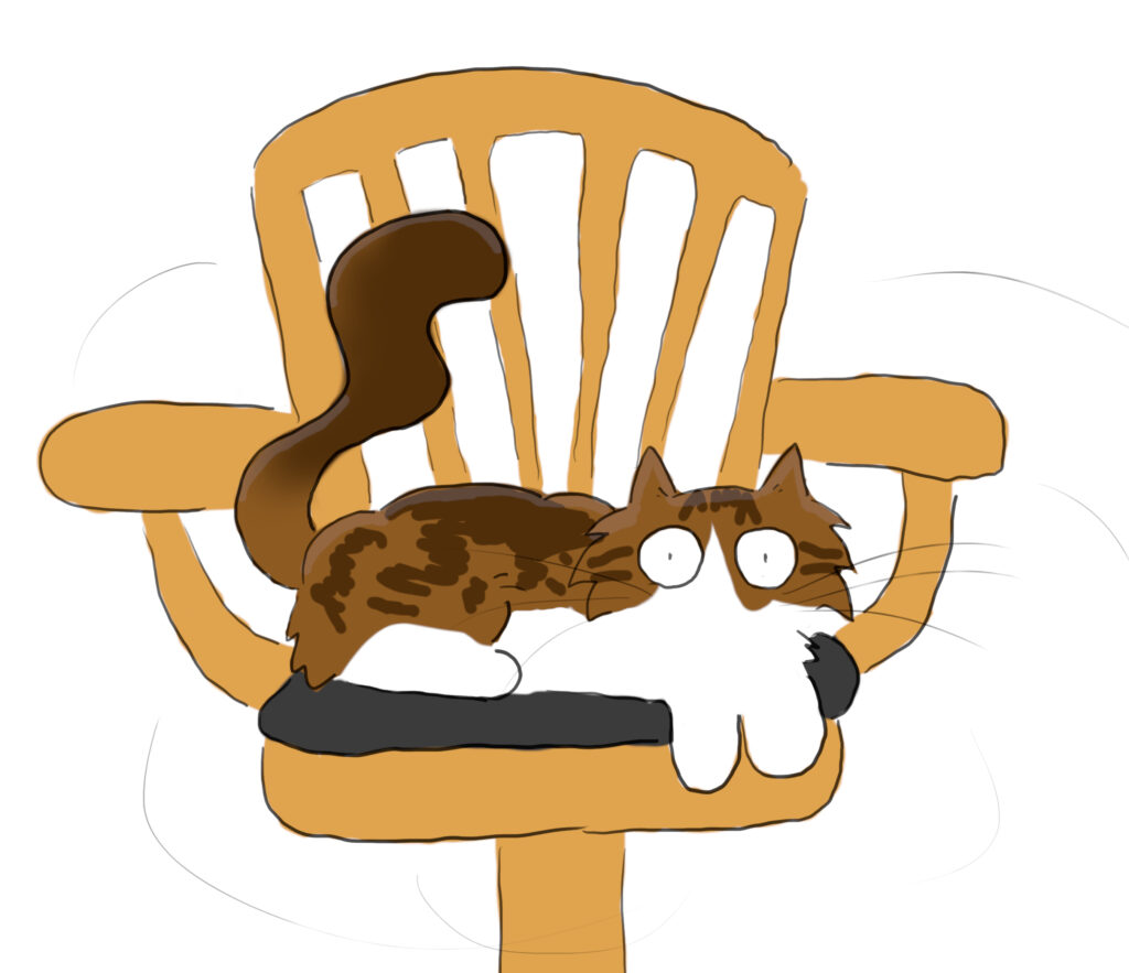 A cartoon of a tabby and white Maine Coon cat sitting in a spinning wooden desk chair.