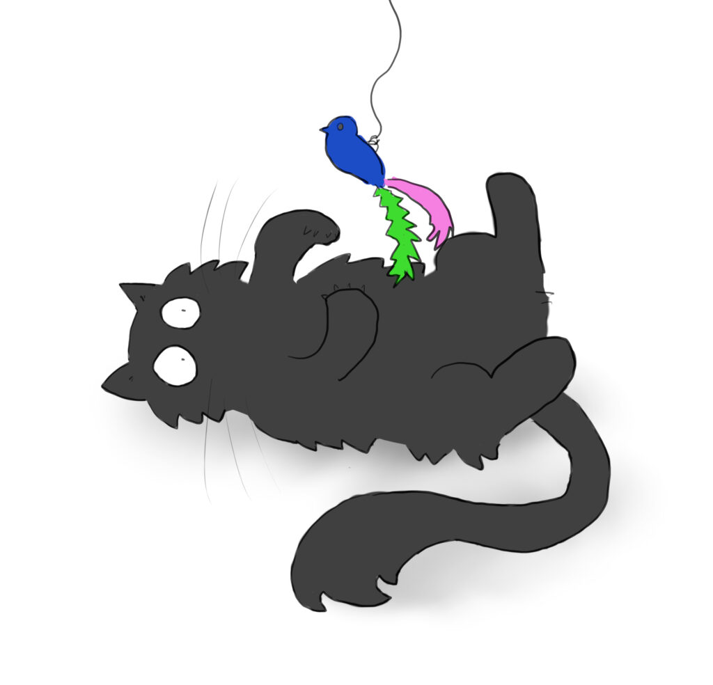 Marley_hyped A cartoon of a very fluffy black cat lying on its back, playing with a bird toy with lots of colourful feathers.