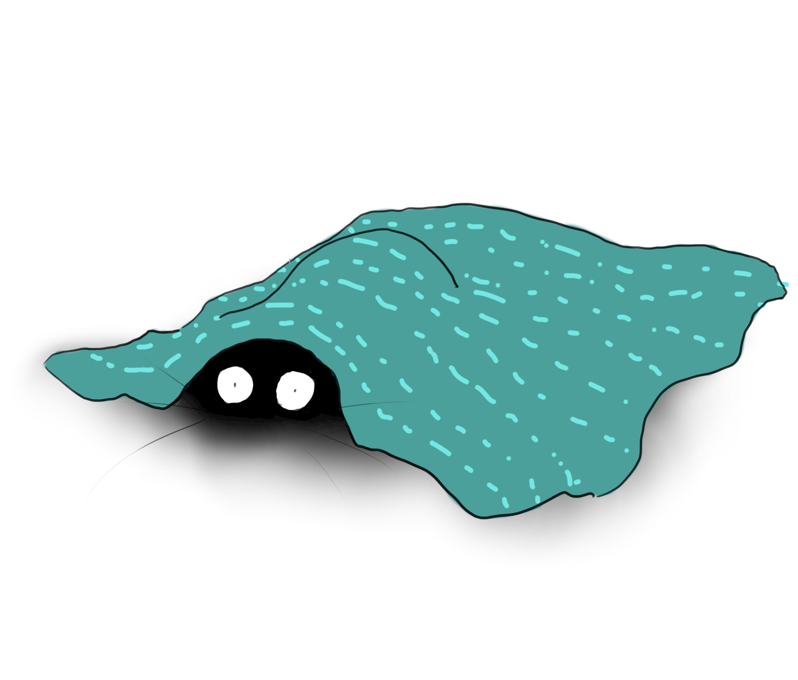 A cartoon showing a cat's eyes in the dark underneath a lump in a turquoise blanket.