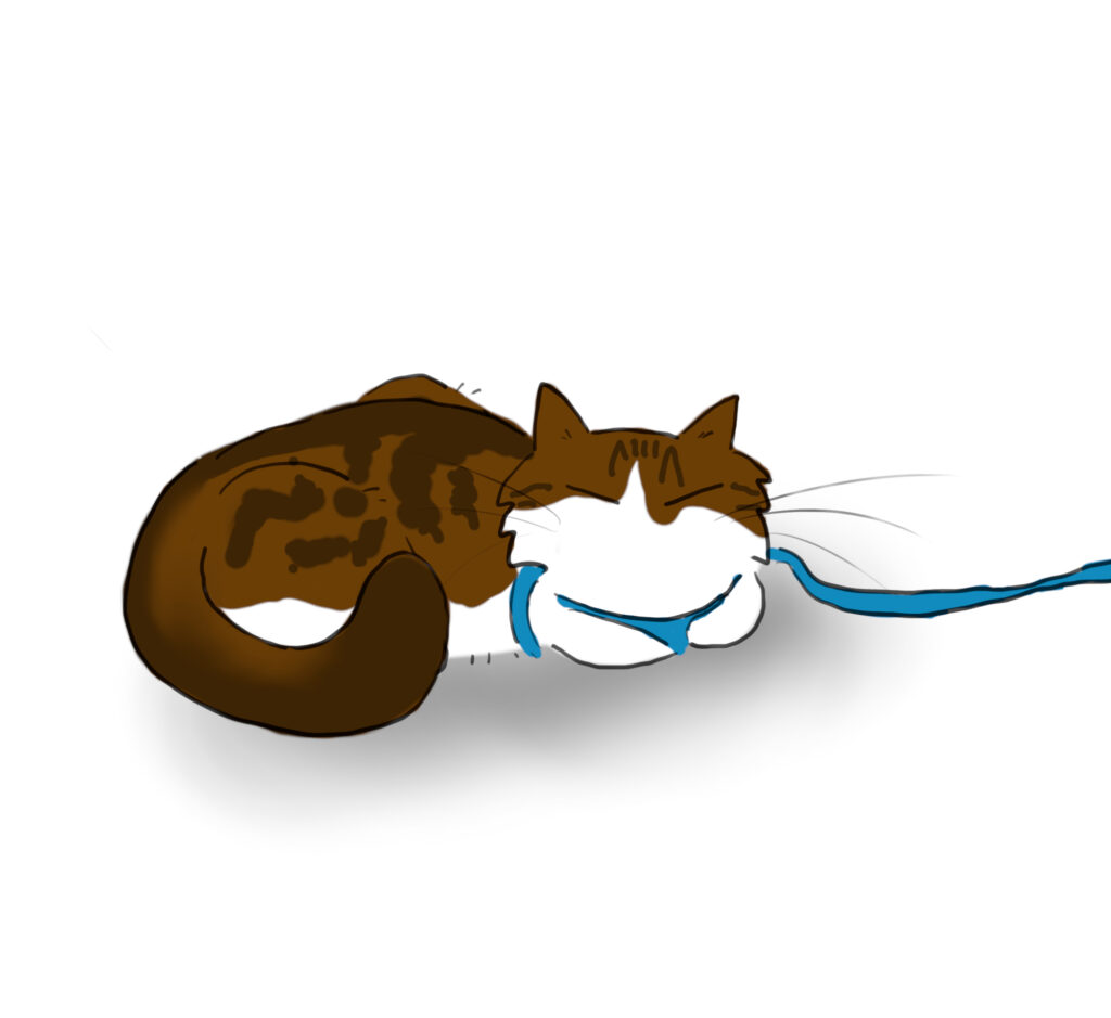 Pippin_sleep_outside A cartoon of a tabby and white cat curled up cosily, asleep while wearing a cat harness.