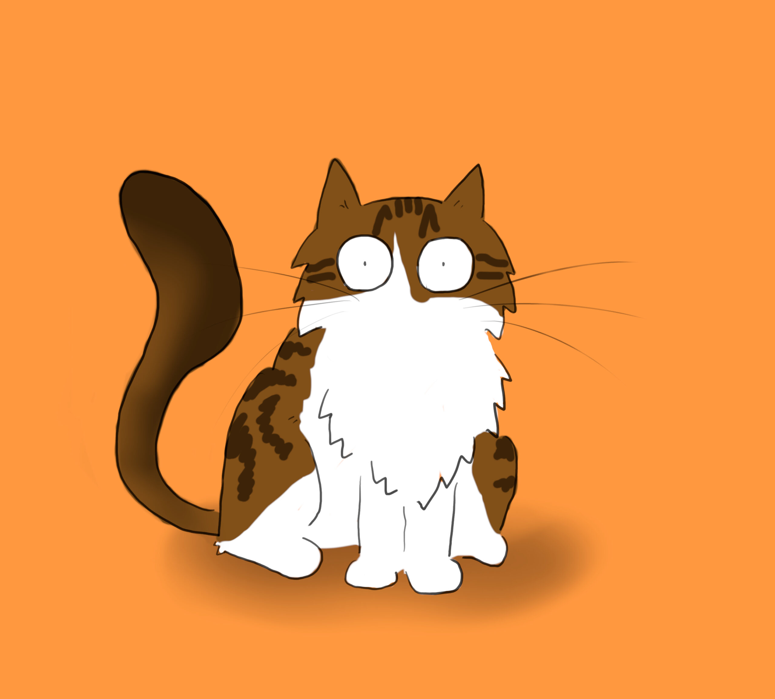 A cartoon of a tabby and white Maine Coon cat on an orange background.