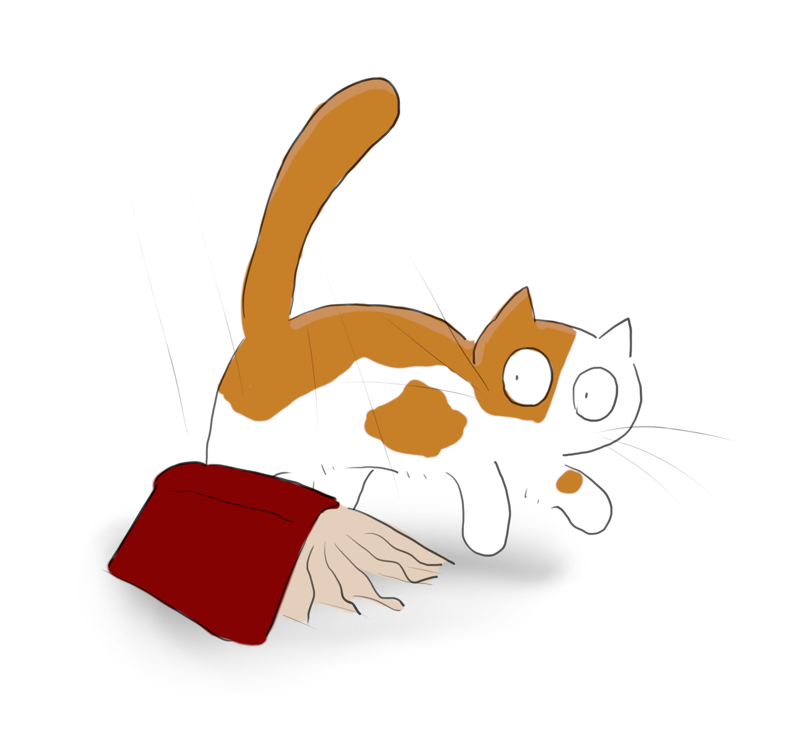 A cartoon of an orange and white cat jumping as a book lands next to it on the ground.