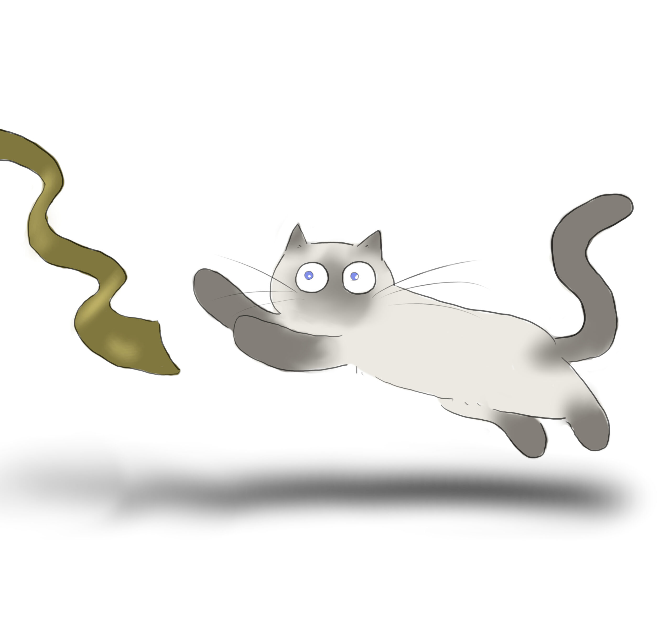 A blue point ragdoll cat, happily chasing a wide bronze-green ribbon.