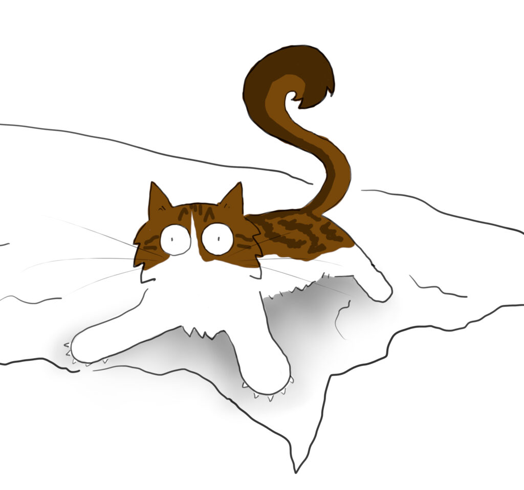 pippin_sheet A cartoon of a tabby and white Maine Coon cat sprawled on a wrinkled bedsheet.