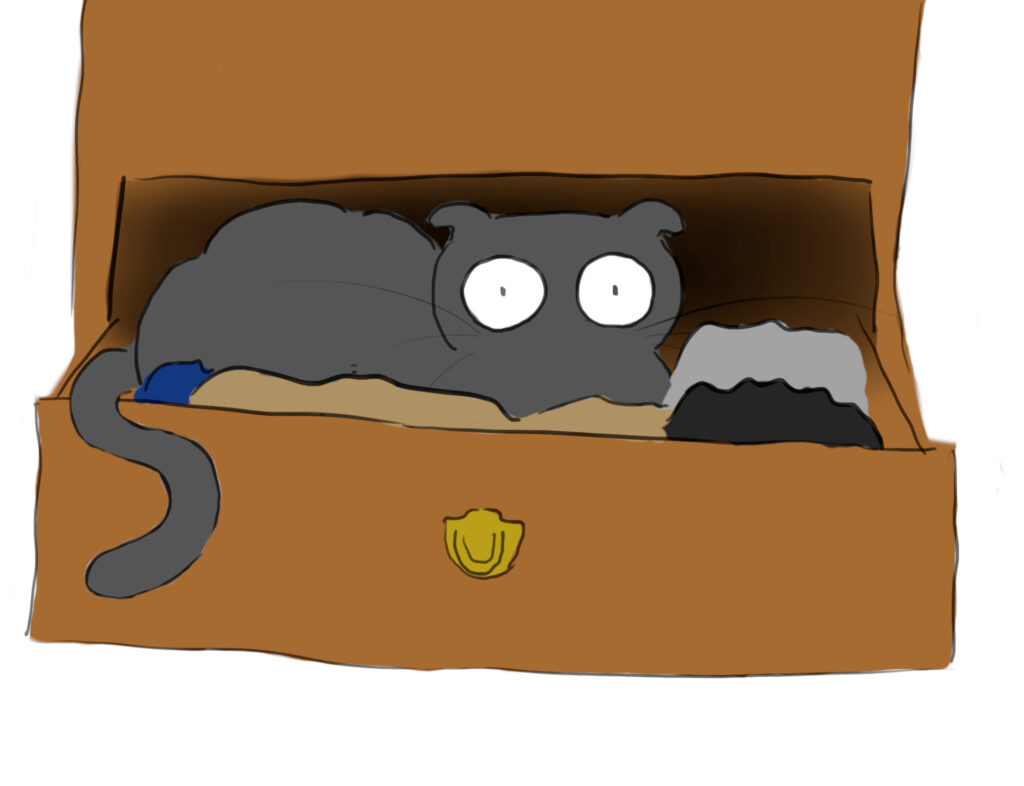 Marseille A cartoon of a grey Scottish fold cat hiding at the back of a clothes drawer.