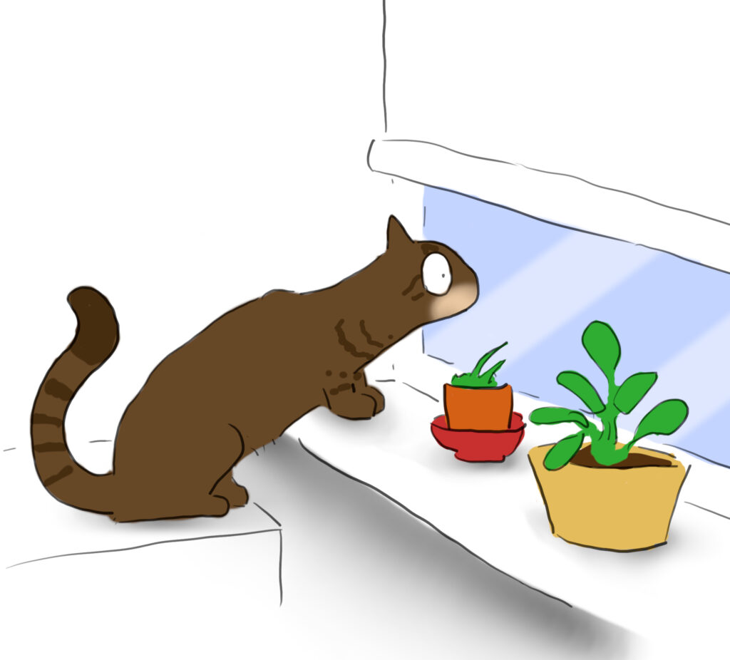 A cartoon of a slinky brown tabbyish cat peeking through a window next to two houseplants.