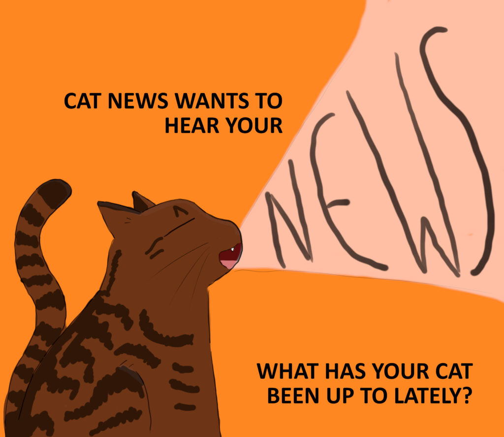 wantnews A cartoon of a tabby cat yelling on an orange background. At the top is the text'Cat News wants to hear your NEWS.' The'news' is being shouted by the cat. At the bottom is the text'What has your cat been up to lately?'