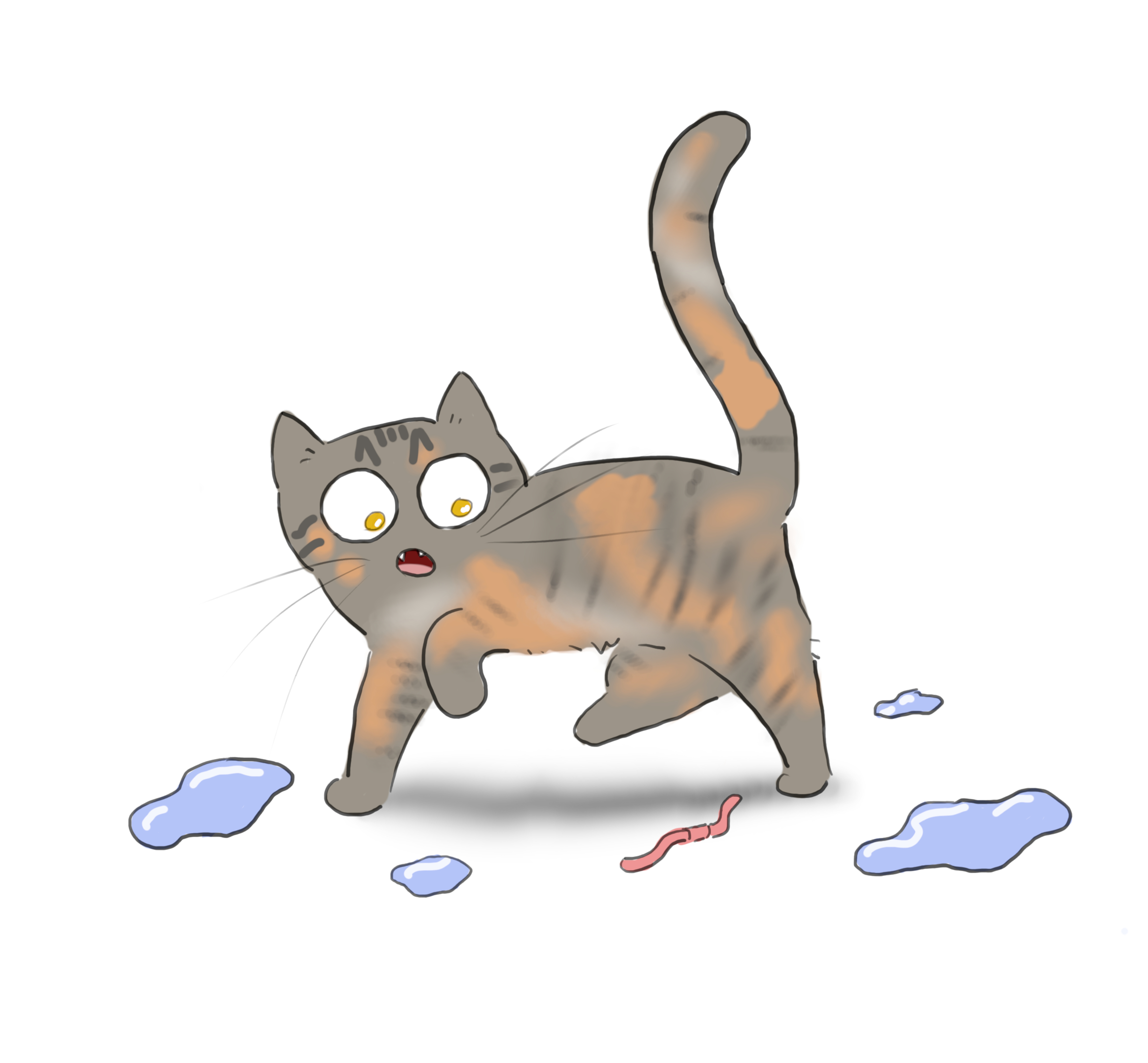 A cartoon of a dilute torbie cat circling and meowing at a worm, surrounded by puddles.