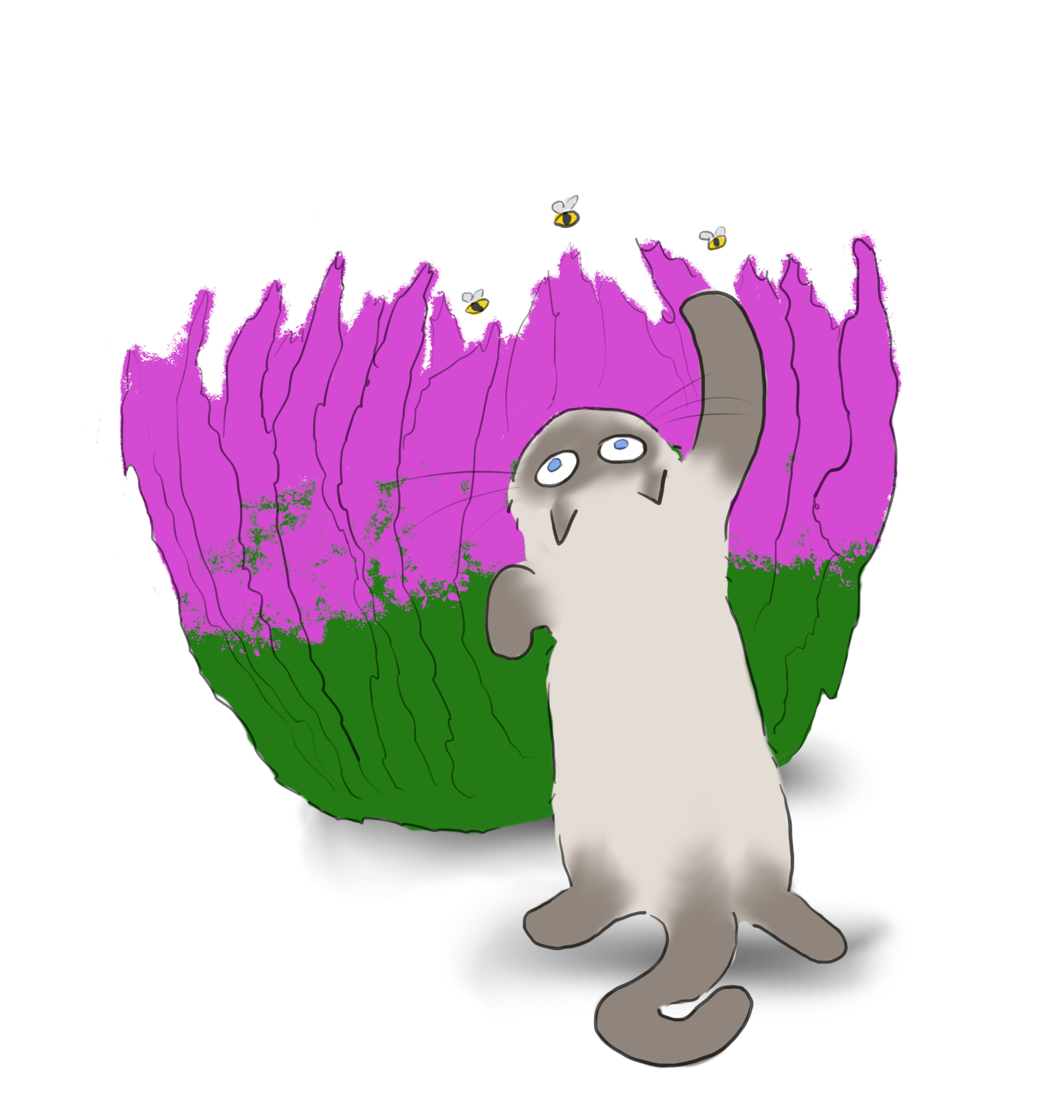 A cartoon of a blue point ragdoll cat batting at bees hovering above a heather bush.