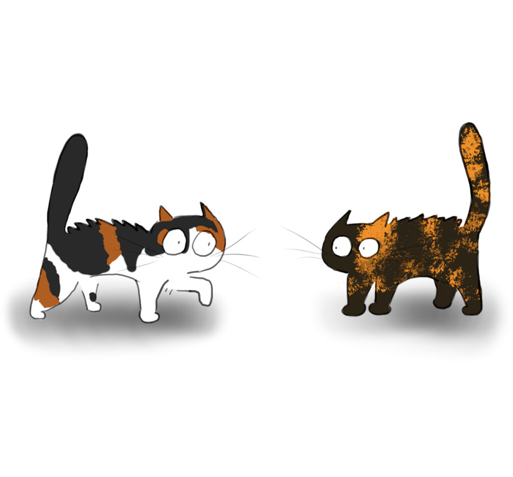 A cartoon of a cailco and a tortoiseshell cat facing off against each other.