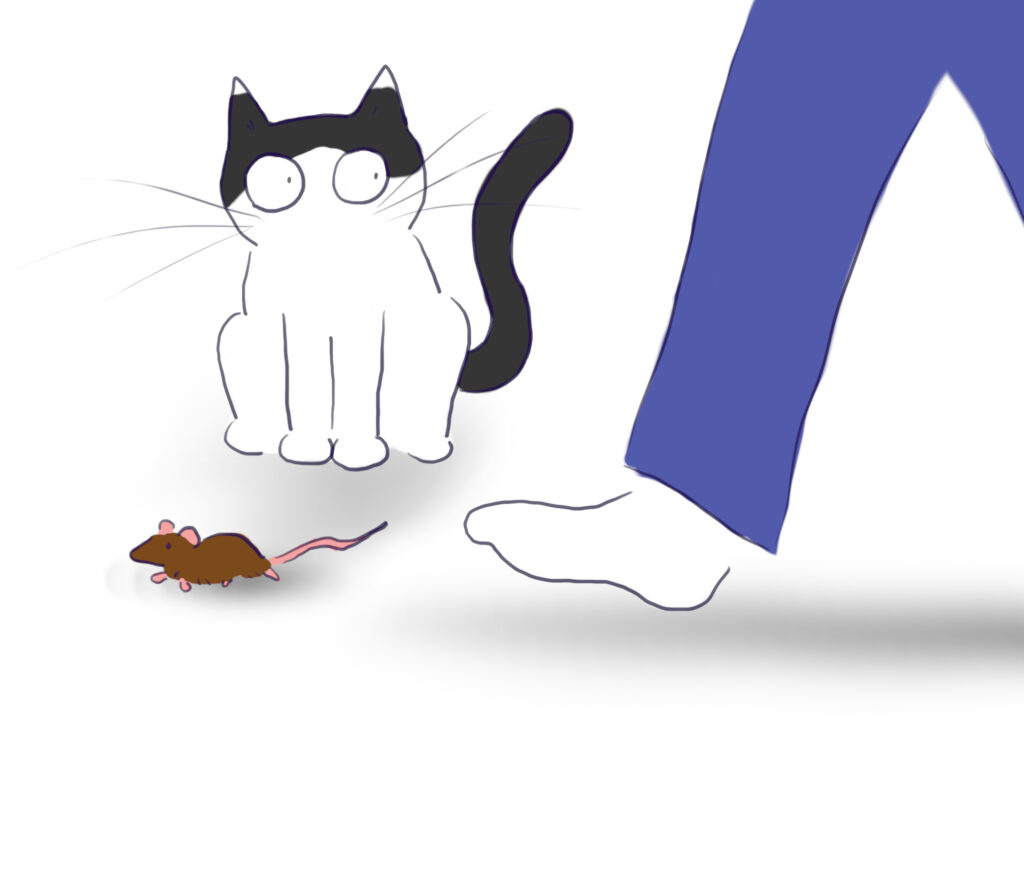 A cartoon of a black and white cat watching his human chase a mouse.