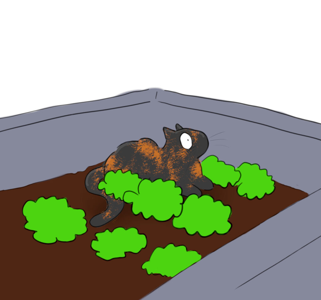 kleo_lettuce A cartoon of a calico cat sitting amongst a bed of lettuces.